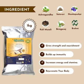 Chocolate Ojasvita - Sharp Mind and Fit Body, 1kg (Refill Pack)