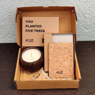 Minimalist Vegan Wallet Festive Gift Box - Dodo Wallet and Soy Wax Coconut Shell Candle